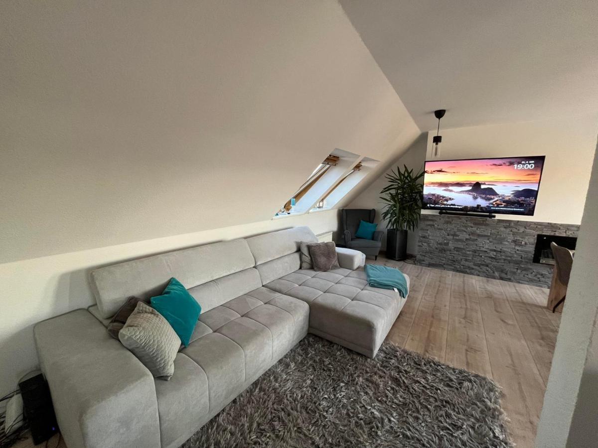 105 Qm Neues Klimatisiertes Appartment Fuer Familien Privater Parkplatz 开姆尼茨 外观 照片