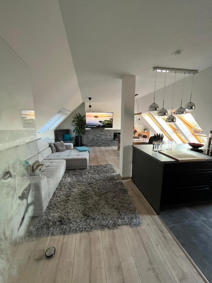 105 Qm Neues Klimatisiertes Appartment Fuer Familien Privater Parkplatz 开姆尼茨 外观 照片