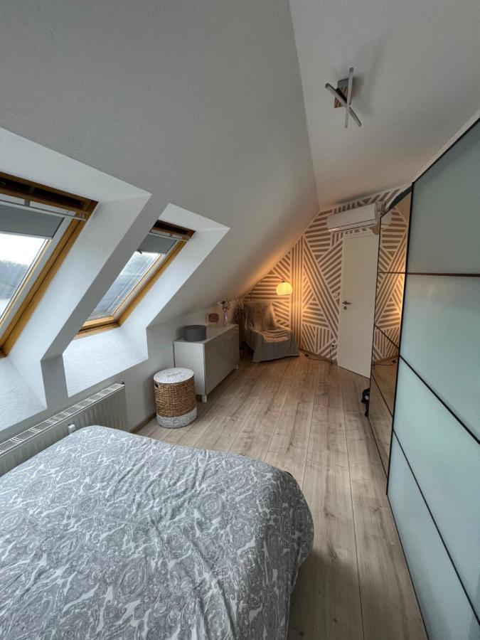 105 Qm Neues Klimatisiertes Appartment Fuer Familien Privater Parkplatz 开姆尼茨 外观 照片